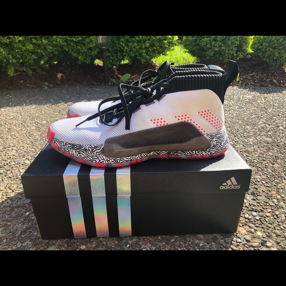 dame 5 size 10